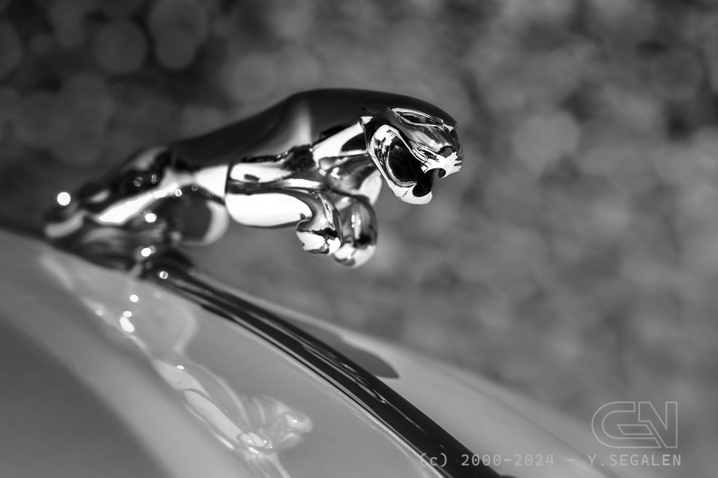 20170716221401-0f8fe935.jpg