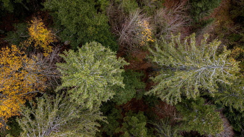 DJI_0112.JPG