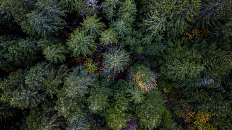 DJI_0114.JPG