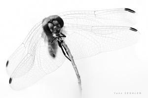 20130929124649-6018f5c2