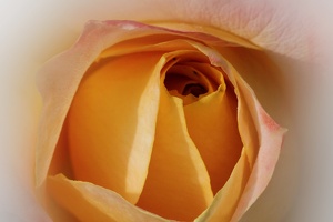 20140919153137-22727f3f