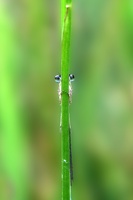 20150603171509-c23e2062
