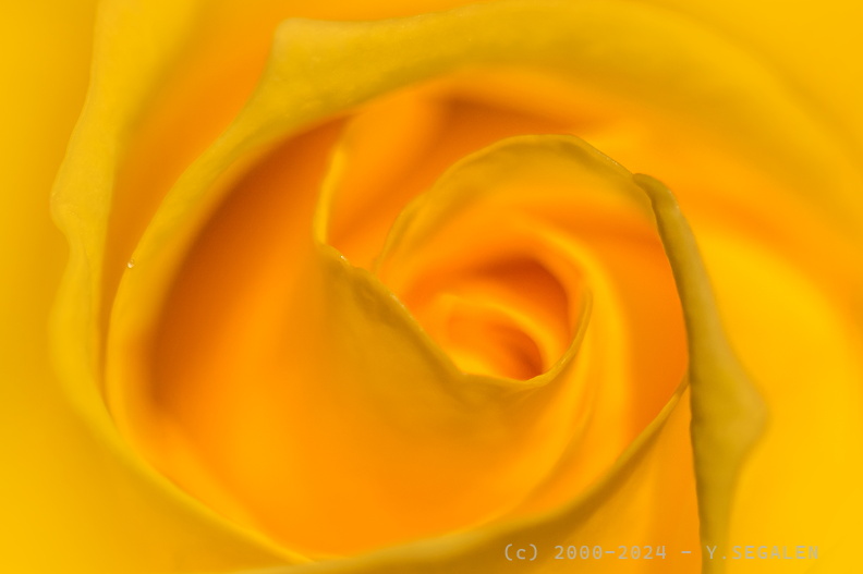 _D__0371.jpg