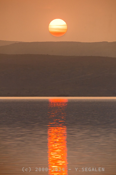 DSC05498-Avec accentuation-NR.jpg